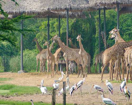 南京试管助孕：探寻本地供卵价格与代怀选择