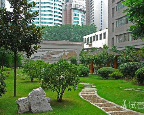 南京助孕指南：哪里可以进行试管婴儿？