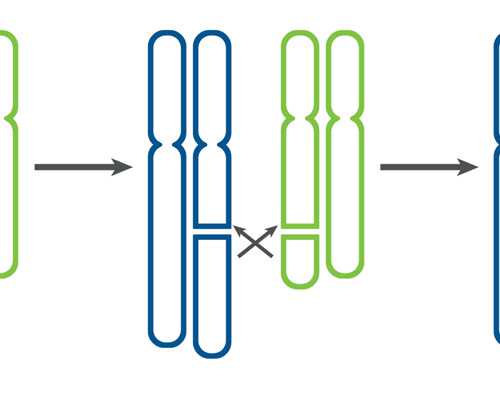 南京借卵助孕：试管婴儿胚胎移植的风险与对策