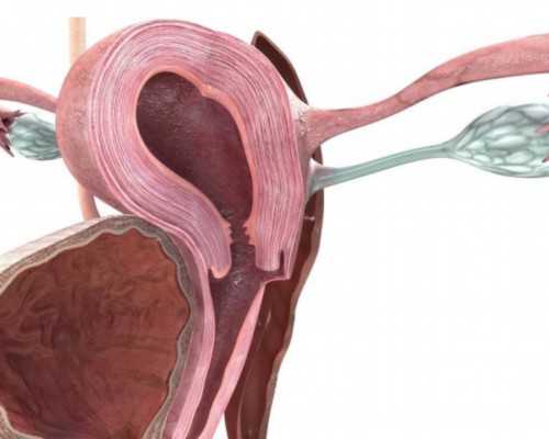 南京供卵医院官网,试管婴儿可解怀孕难做试管婴儿如何保健-南京公立医院供卵