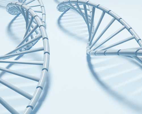 南京助孕与供卵：北京供卵机构详解及成功案例