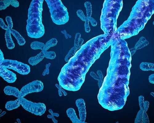 南京在助孕是合法的吗 南京鼓楼医院供卵要排队吗? ‘四维通过图像看男女’