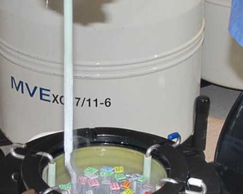 南京助孕之旅：试管婴儿详细流程解析与费用指南