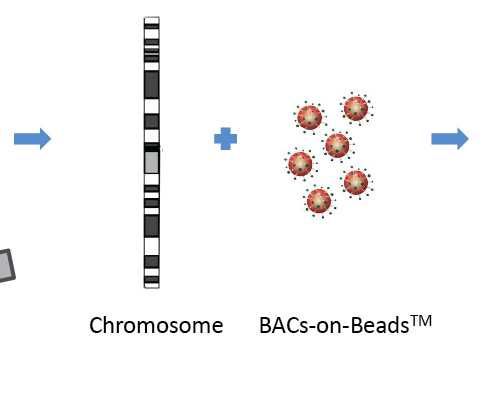 南京试管婴儿：南京妇幼保健院三代试管技术条件与专家解析