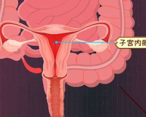 南京试管助孕：鼓楼医院供卵等待时间及辅助生殖技术解析