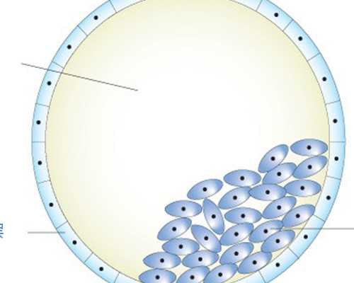 南京找代怀,失独家庭做试管婴儿需要什么证明 失独家庭做试管需要证件一览表
