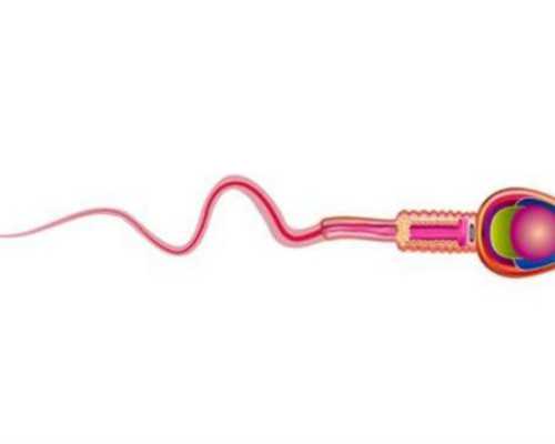 南京哪里可找代孕妈妈,试管怎么算怀孕天数_南京私立供卵机构有哪些_西安供卵