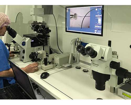 南京助孕机构揭秘：鼓楼医院三代试管费用及流程详解