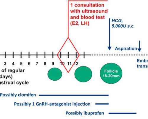 探秘第一代试管婴儿技术：详细流程解析