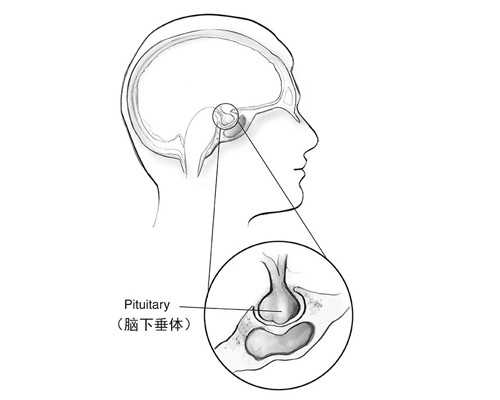 南京代怀试管龙凤胎,南京三代供精试管多少钱？附详细试管费用
