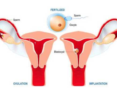 徐州中心医院试管婴儿成本揭秘：2026年费用指南