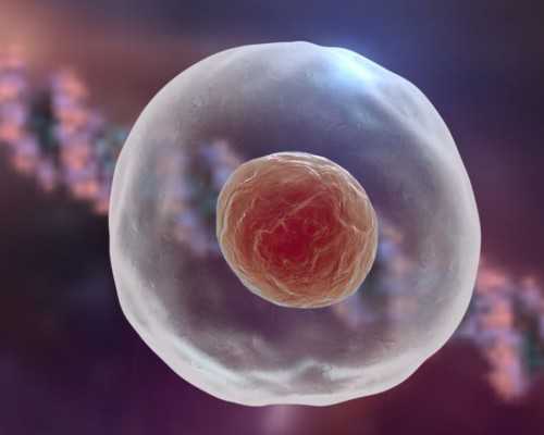 专业助孕公司如何选择？信任一家好的公司