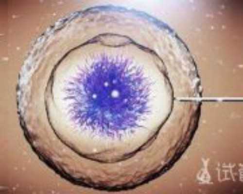 南京能代生的公司,在泰国做试管有失败的吗？怎么成功？_试管婴成功49天有下