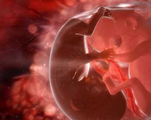 南京试管助孕机构的指南与高龄生育考量