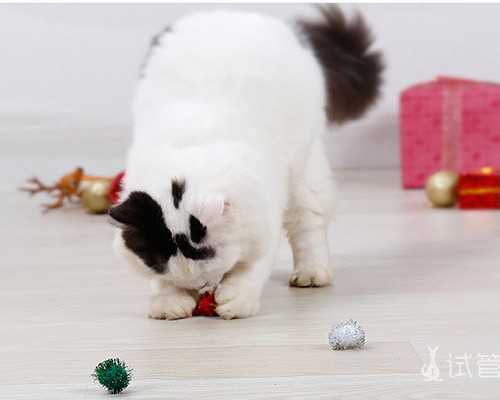 南京代怀助孕攻略：盘点成功率高医院与费用明细