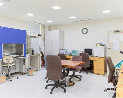 解锁生育新篇章：代怀与供卵助您好孕