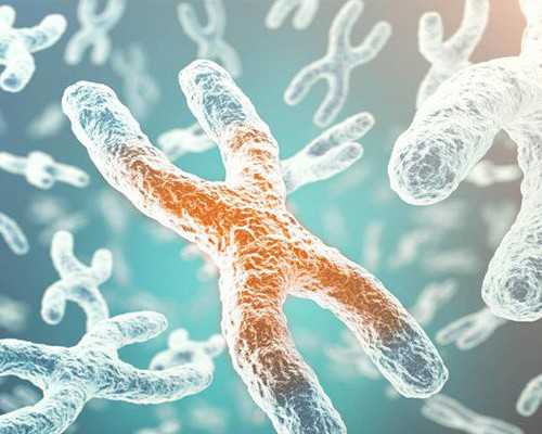 北京三代试管婴儿费用指南：了解流程与成功率