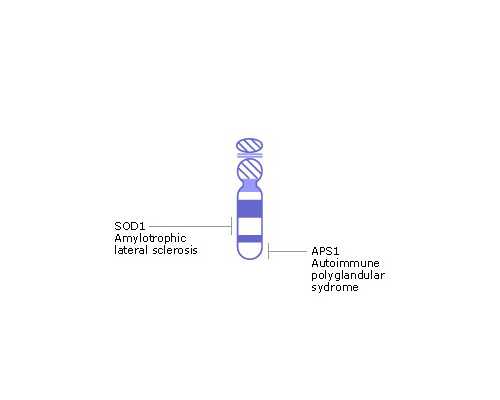 探讨供卵试管助孕的医院选择与流程