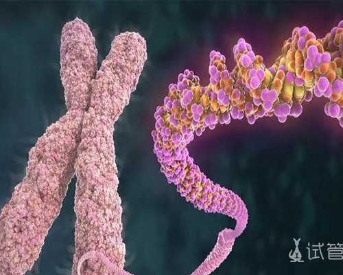 专业南京代孕哪家好 南京鼓楼医院试管婴儿费用明细 ‘英国nt看男女方法’