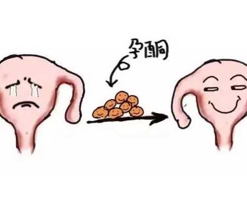 南京优质代怀与供卵医院选择指南：助您好孕