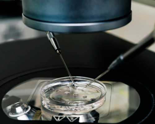 西安交大一附院供卵三代试管婴儿可行性及成功率解析