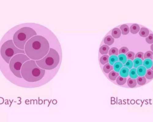 南京鼓楼医院2026试管婴儿推介：科学助孕，优生优育