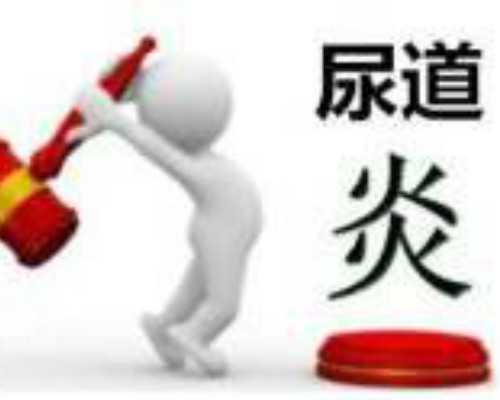 南京求子：合肥试管助孕的新选择与成功率解析