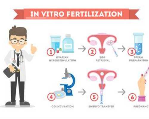 南京借腹生子所需准备 揭秘三代试管双胞胎可行性