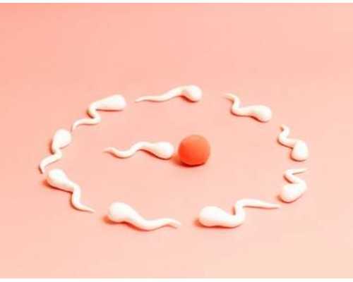 人工授精与试管婴儿的区分：助孕技术对比