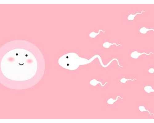 南京三代试管婴儿助孕解析：费用、成功率及优选医院