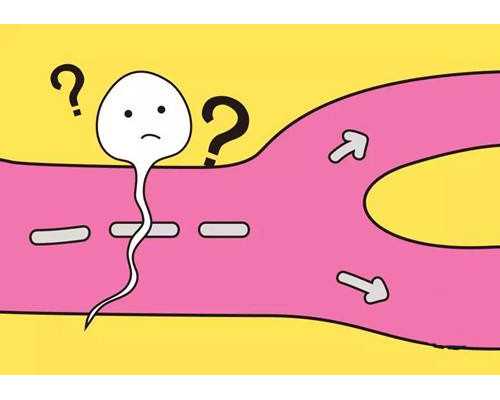 南京赠卵试管与妇幼保健院供精试管费用解析