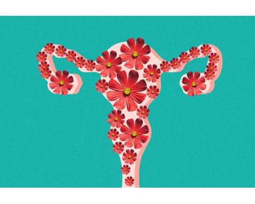 南京鼓楼试管婴儿费用明细与供卵男孩生育指南