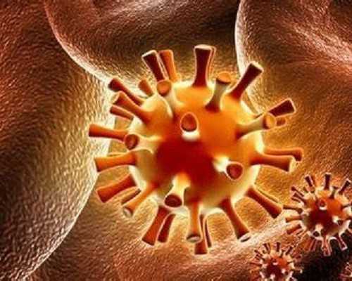 49岁女性试管婴儿可能性探究：成功因素与可行性评估