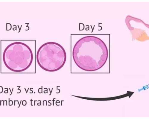 南京代生产子公司安全吗 南京医科大学第一附属医院; ‘32周双顶径看男女’